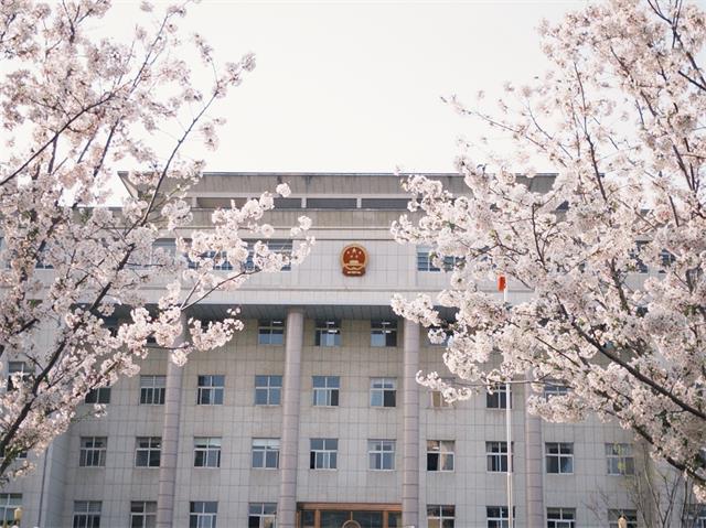 公众号开头.jpg