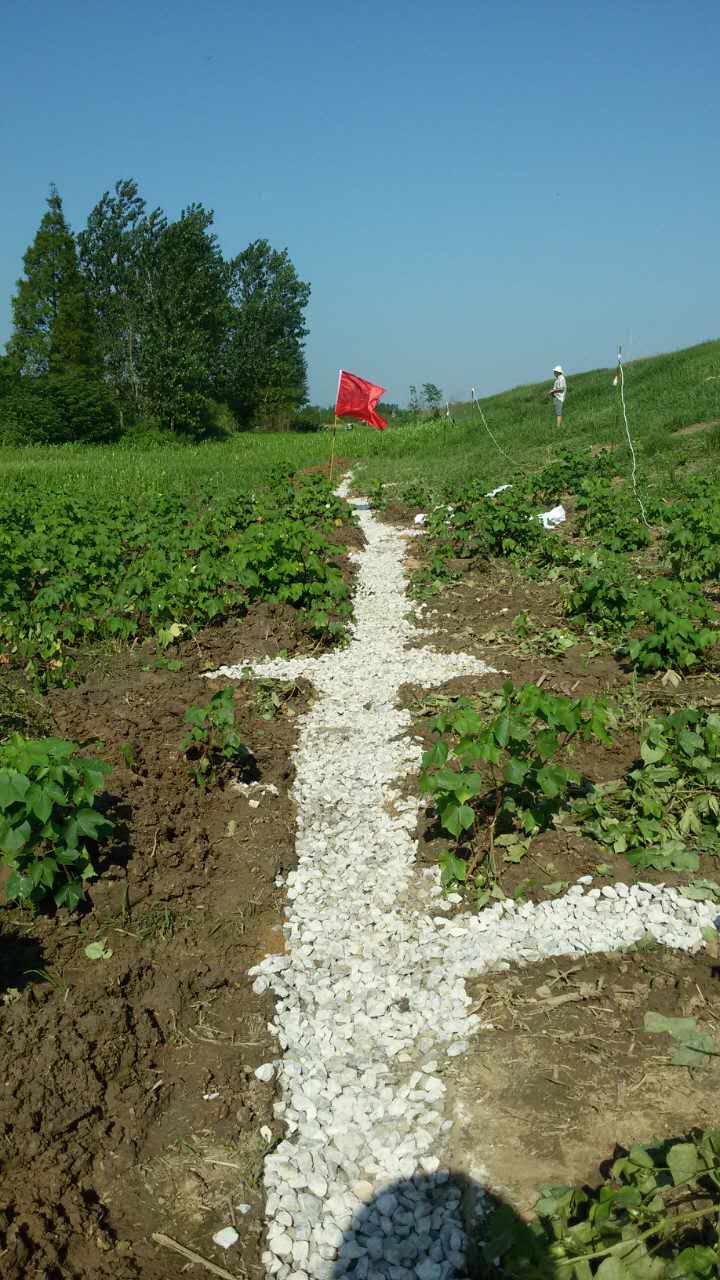 clip_image005.jpg